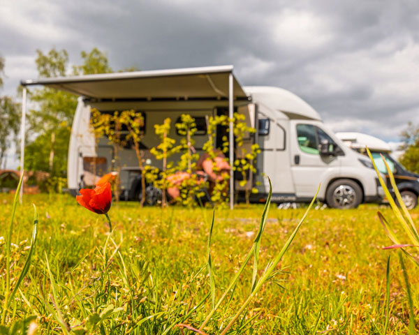 Roter Mohn auf blühender Wiese, dahinter ein Wohnmobil mit Markise auf dem Standardplatz im Ahornhain