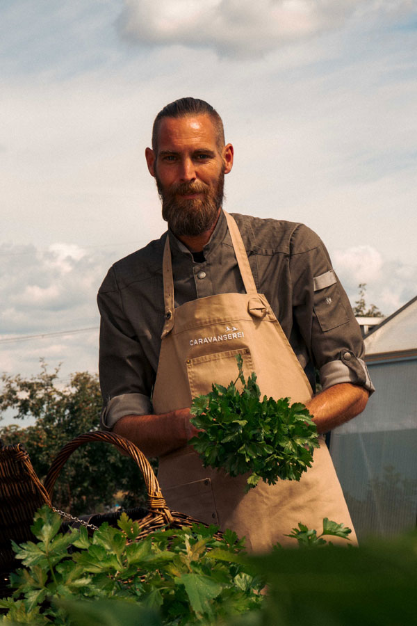 Küchenchef präsentiert frisch geerntete Petersilie aus dem eigenen Garten