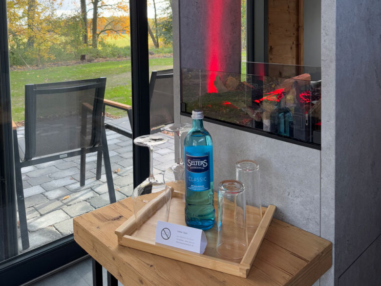Wohnbereich im SpaCube mit elektrischem Kamin und Blick auf die Terrasse